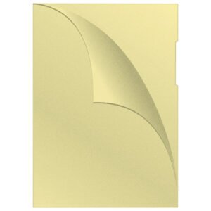 Pregrada kartonska A4 250gr Donau žuta 1/1