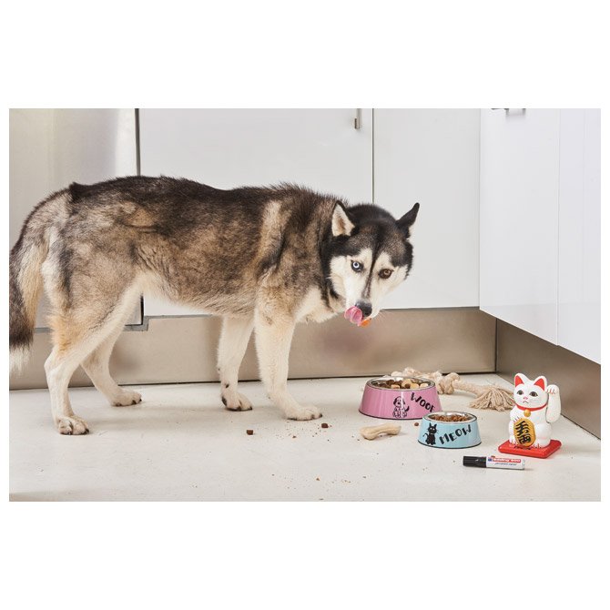 Marker permanentni 3-4mm Edding 550