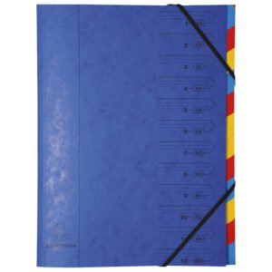 Mapa za odlaganje spisa 12 pregrada s gumicom karton Exacompta