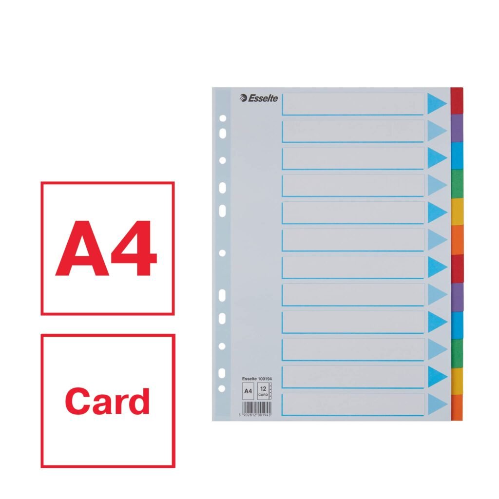 Pregrada kartonska A4 kolor 12 listova Esselte 100194