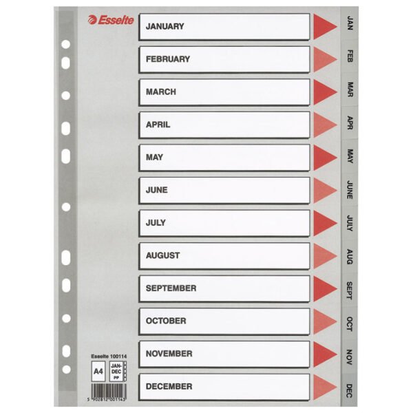 Pregrada plastična A4 mjeseci Jan-Dec 12 listova Esselte 100114