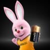 Baterija DURACELL Plus D + 100% extra life 2/1