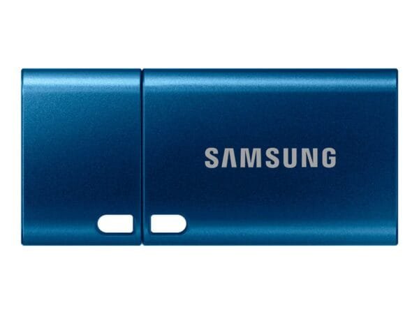 SAMSUNG USB Type-C 256GB USB 3.1 Flash